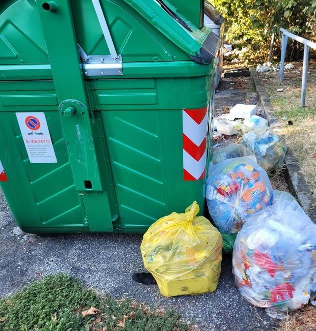 Sassuolo, rifiuti abbandonati e vandalismi: il parco Albero d’Oro nel degrado 
