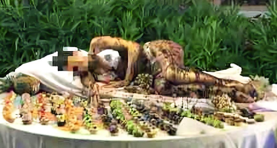 Ragazza “servita” su un tavolo di dolci, è bufera contro l’hotel di Golfo Aranci