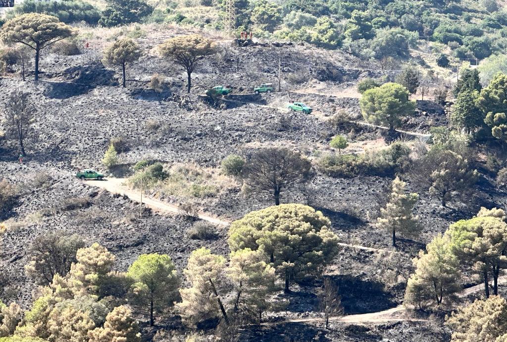 Incendio all’Elba, inizia la conta dei danni: 28 ettari andati in fumo nell’inferno di fuoco a Rio