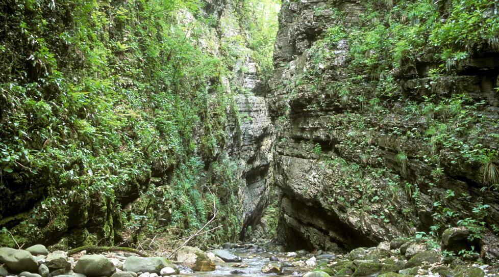 La natura vicino a noi<br>
