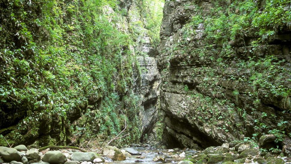 La natura vicino a noi<br>