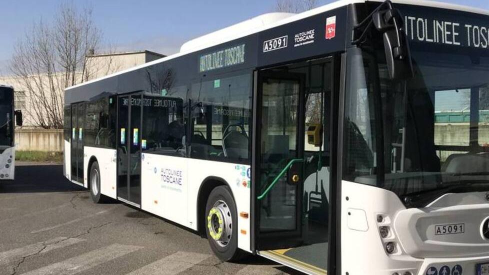 Marina di Pisa, pugni in testa all’autista del bus che finisce al pronto soccorso