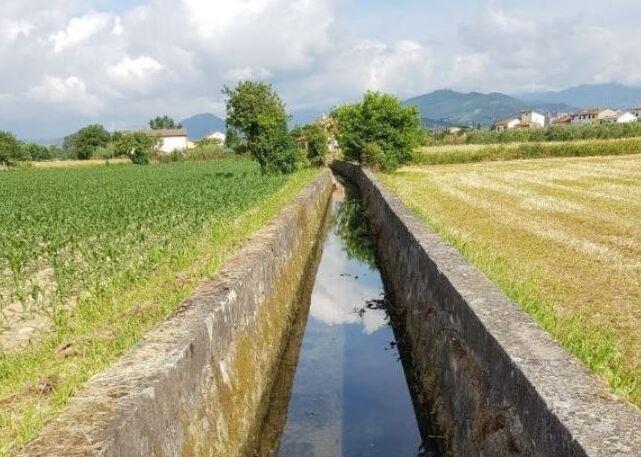 Il Consorzio Toscana Nord cerca tirocinanti: i compensi arrivano a mille euro