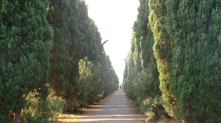 Tra marmellate, nocino e ceri: il monastero delle benedettine ha bisogno di aiuto