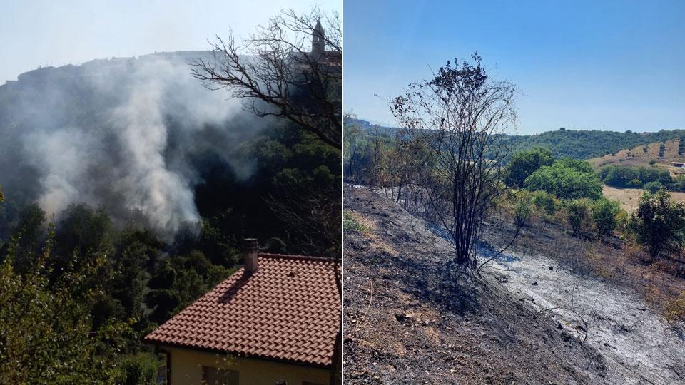 Incendi a Cinigiano e Magliano, si teme la mano di un piromane
