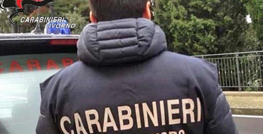 
	Un carabiniere del Nil (foto d'archivio)


