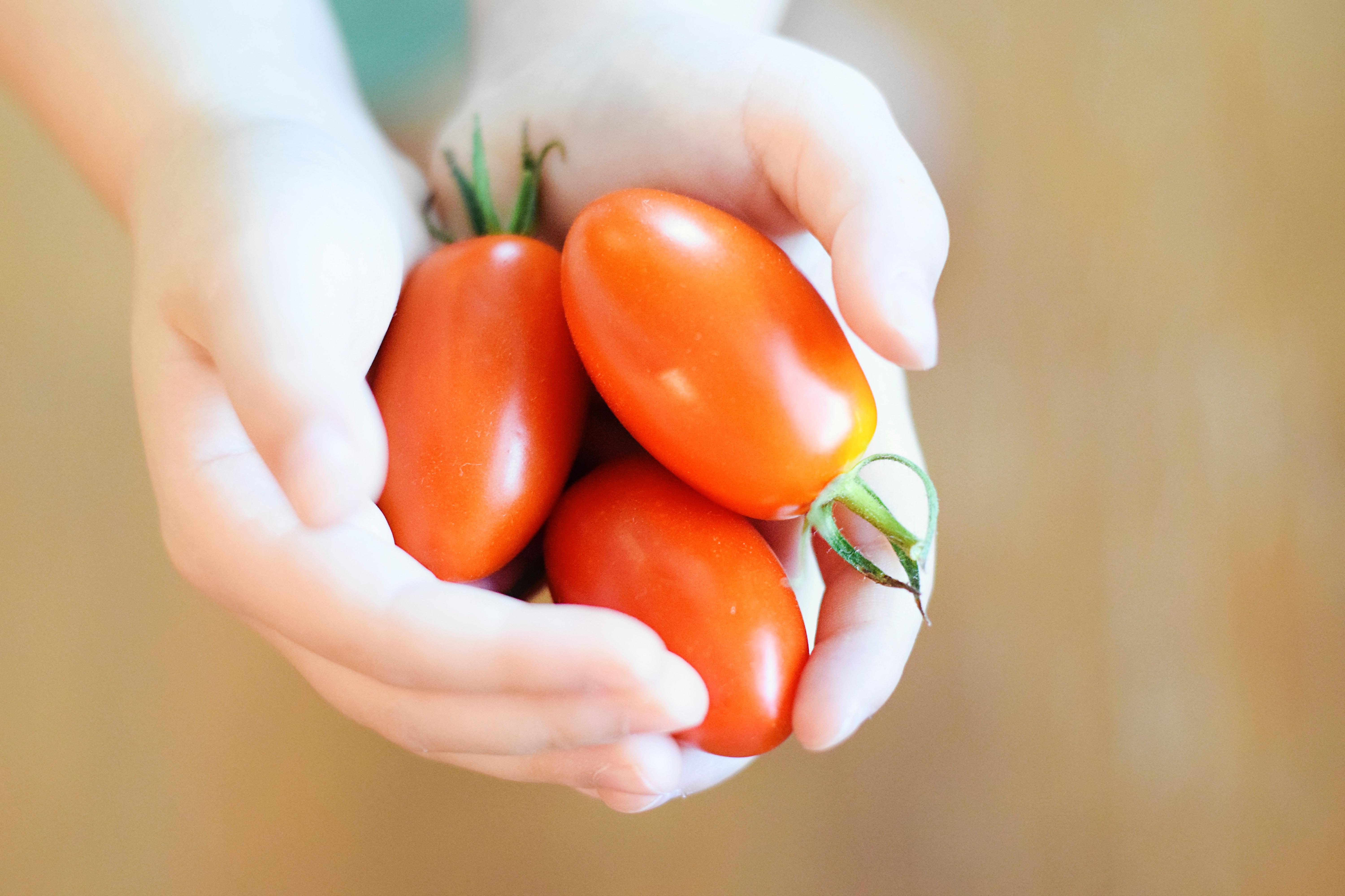 Ora annusiamo i pomodori come fossero tartufi 