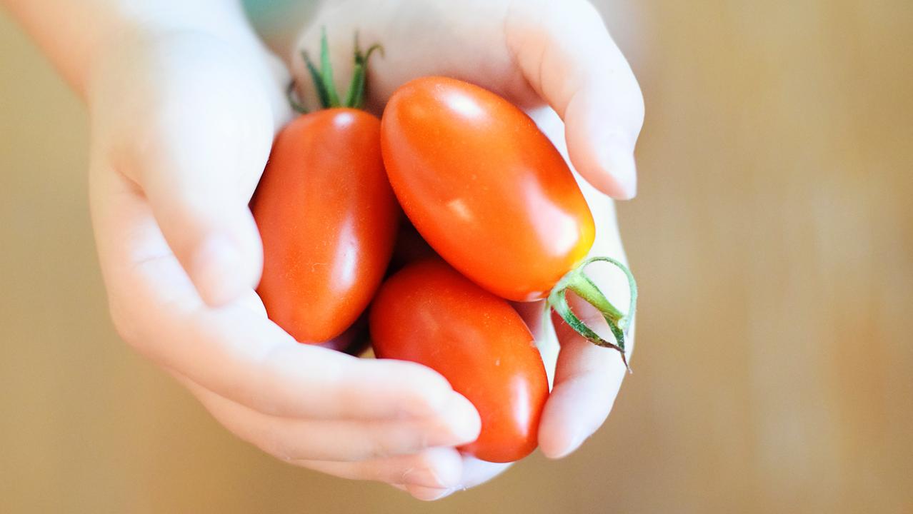 Ora annusiamo i pomodori come fossero tartufi
