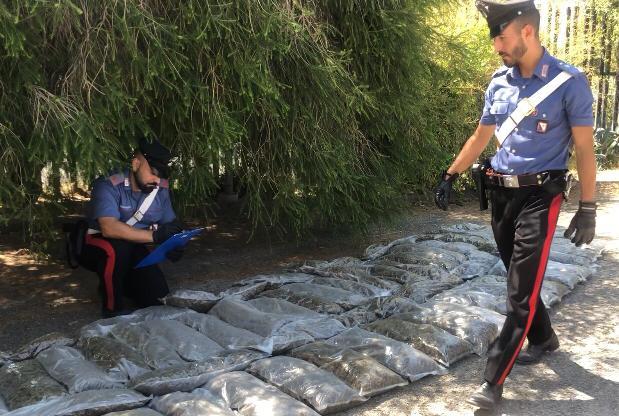 Mezzo milione di euro in marijuana nascosti in una cisterna a Tuili