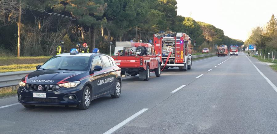 Mesola, roghi in pineta: arrestato un 40enne