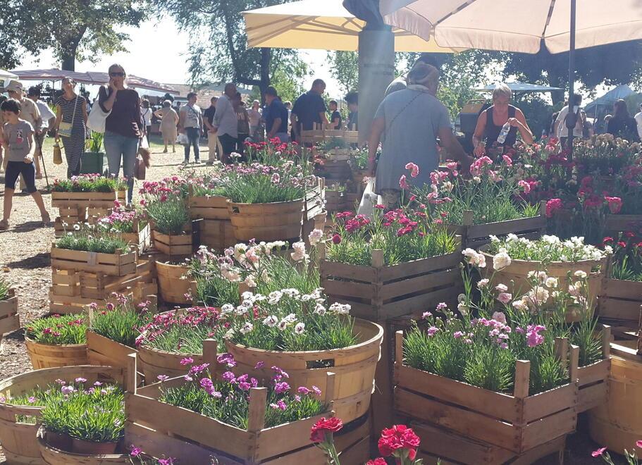 Lucca, il weekend di Murabilia: 200 espositori e tanti eventi