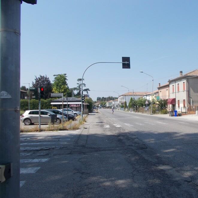 Vigarano, grossi topi nella zona di via Cento. Tante segnalazioni preoccupate
