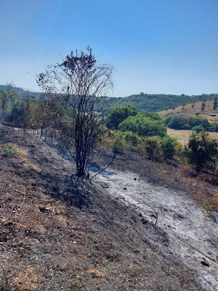 Mesola, il piromane un insospettabile. È un volontario alla Protezione civile