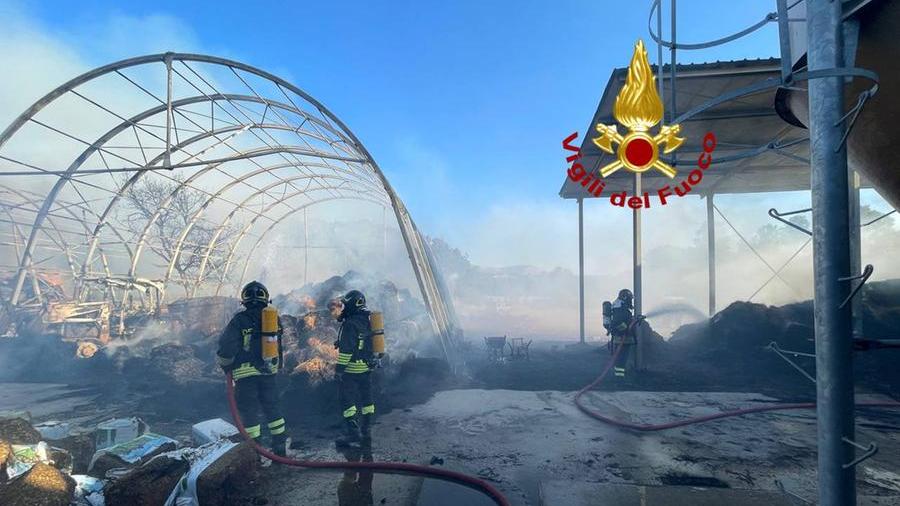 Spaventoso rogo devasta un’azienda agricola di Fonni