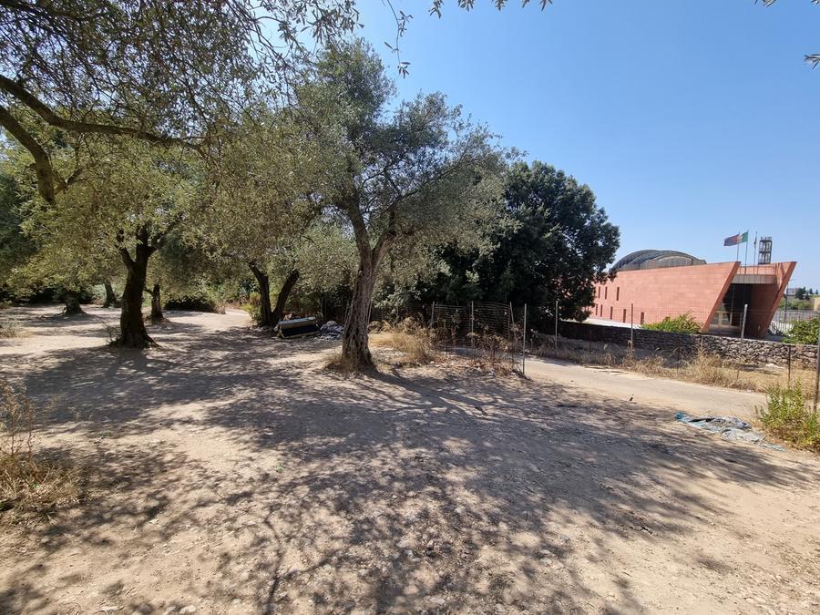 Piandanna, la pista del delitto