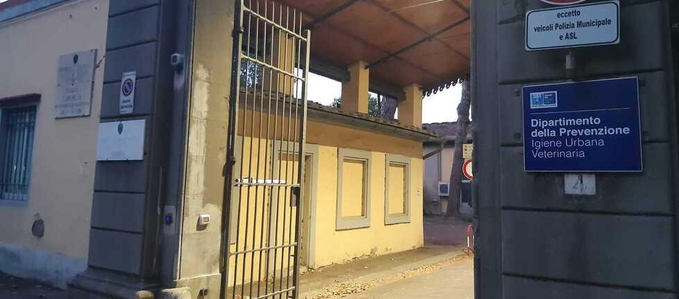 Firenze, gli ex Macelli di viale Corsica diventano “ospedale” per cani