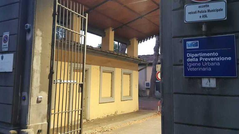 Firenze, gli ex Macelli di viale Corsica diventano “ospedale” per cani