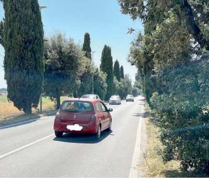 Via dei Melograni a Marina di Bibbona  dove non c’è spazio per i pedoni in arrivo dalla stazione di Bolgheri