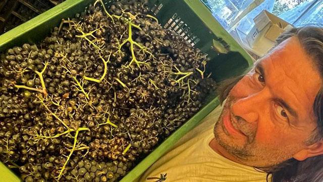 Ido Mariani, proprietario della Tenuta Mariani