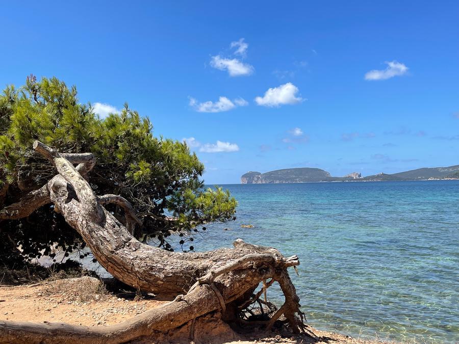 Musica, danza e relax in spiaggia senza veli