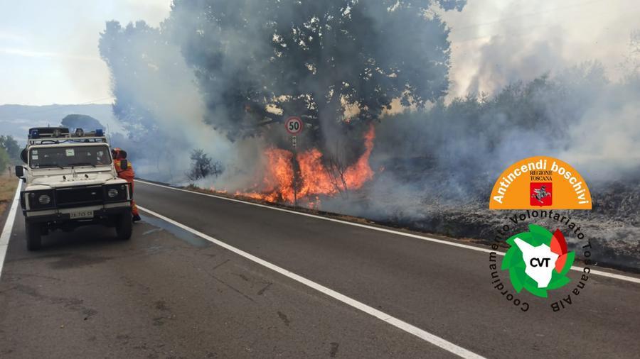 Incendio a Pomarance, le fiamme si propagano per il vento. Tanti gli ettari bruciati – Video