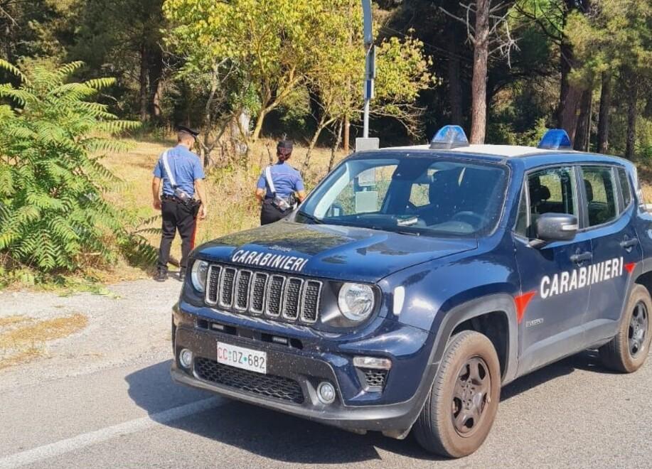 Mesola. Indagini sugli incendi seriali