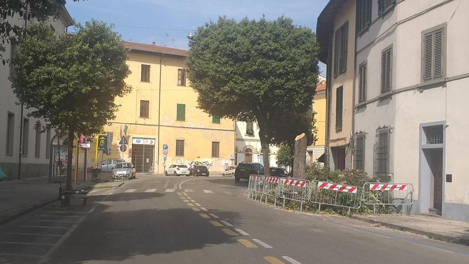 Pistoia, da settembre nuovi controlli su tutti gli alberi del centro