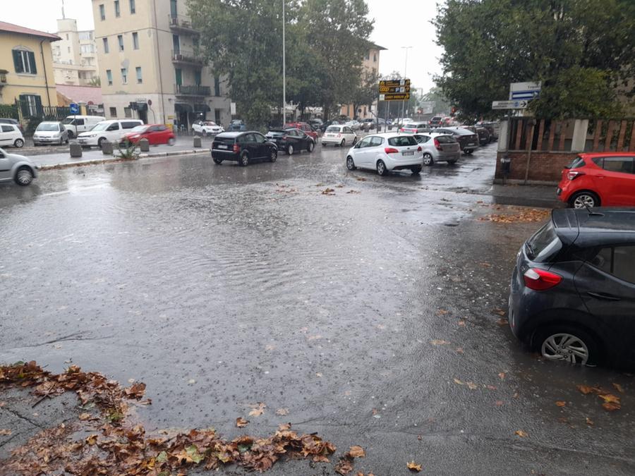 
	Il "lago" fra viale Alfieri e via Tripoli

