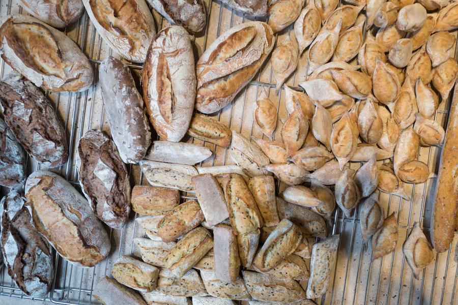 Crisi del pane, il toscano "sciocco" costa anche 8 euro al chilo e se ne vende poco. I panificatori: «Si sopravvive con le focacce»