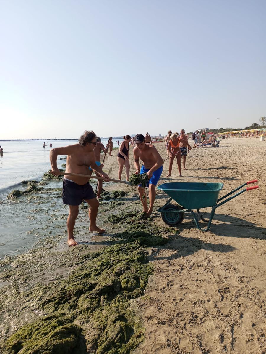 Missione alghe al Bagno Pinguino