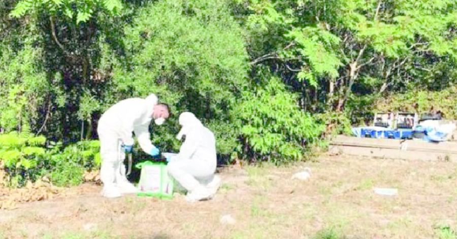 Anziano ucciso a Sassari, Fiori resta in cella. Al gip l'indagato ripete: «Sono innocente»