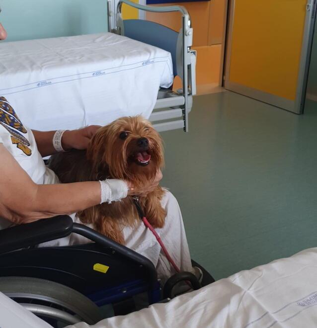 Una signora ricoverata nel reparto di riabilitazione dell’ospedale di Cecina riceve la visita del suo cane