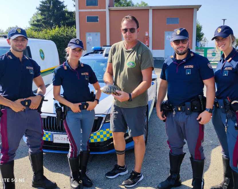 Emergenza tartarughe «Dopo il recupero che fare?»