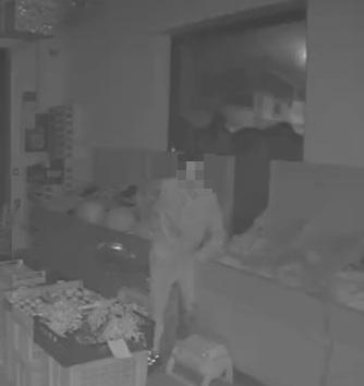 Livorno, ladri nel negozio di alimentari: scatta l'allarme e fuggono con un telefono