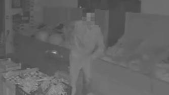 Livorno, ladri nel negozio di alimentari: scatta l'allarme e fuggono con un telefono