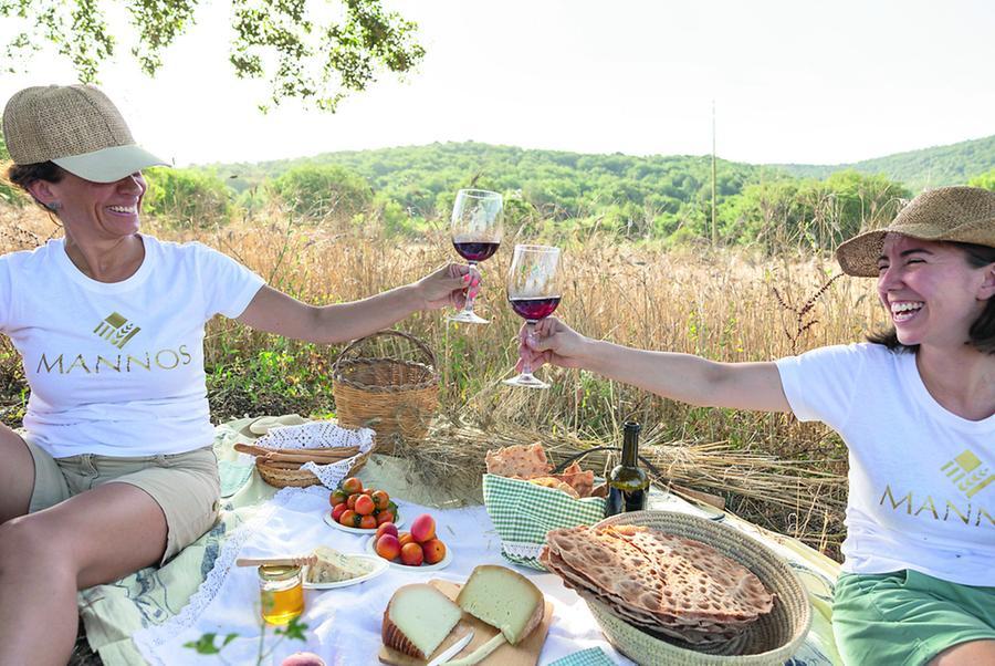 Adotta una pecora o un alveare: aiuti le aziende e vivi la natura