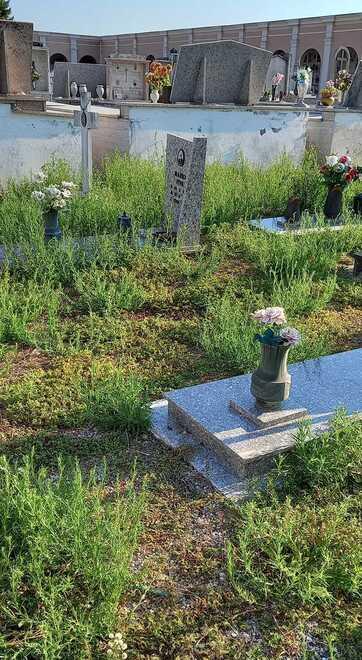 Voghiera, incuria al cimitero. Il sindaco: «Mi scuso, ma la colpa è della ditta esterna»
