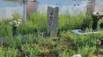 Voghiera, incuria al cimitero. Il sindaco: «Mi scuso, ma la colpa è della ditta esterna»
