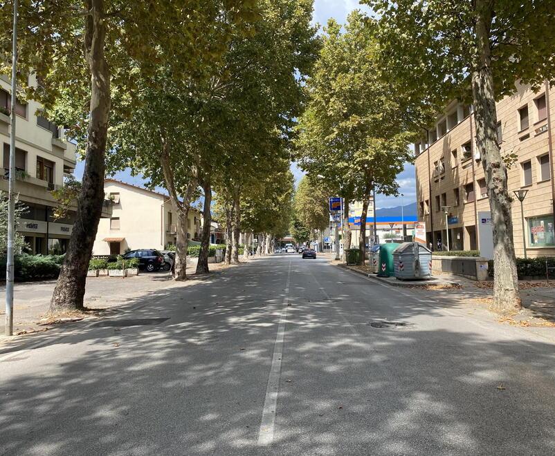 «A rischio il tratto tombato del torrente Brusigliano»: i cittadini chiedono un incontro urgente al Comune