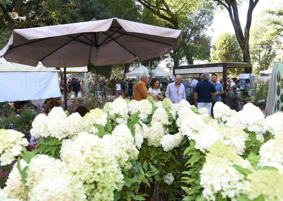 La natura nascosta sottoterra protagonista di Murabilia 2023