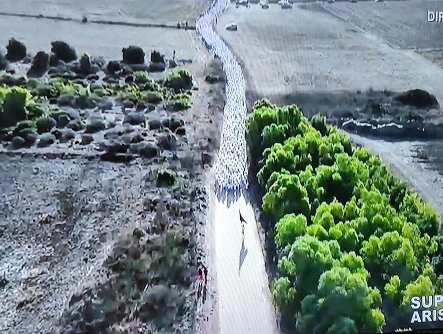 
	La Corsa degli Scalzi <em>(foto Francesco Pinna)</em>

