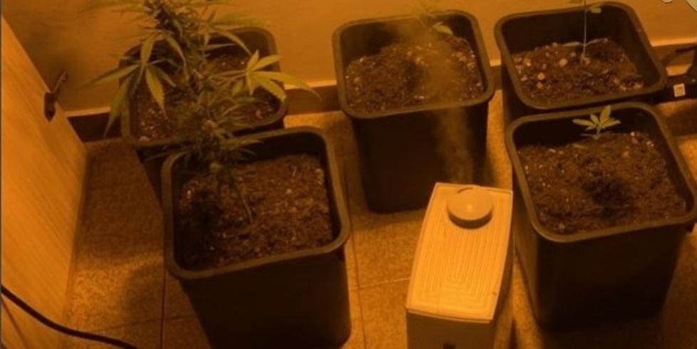La serra nell’abitazione di San Vito sequestrata dalla polizia