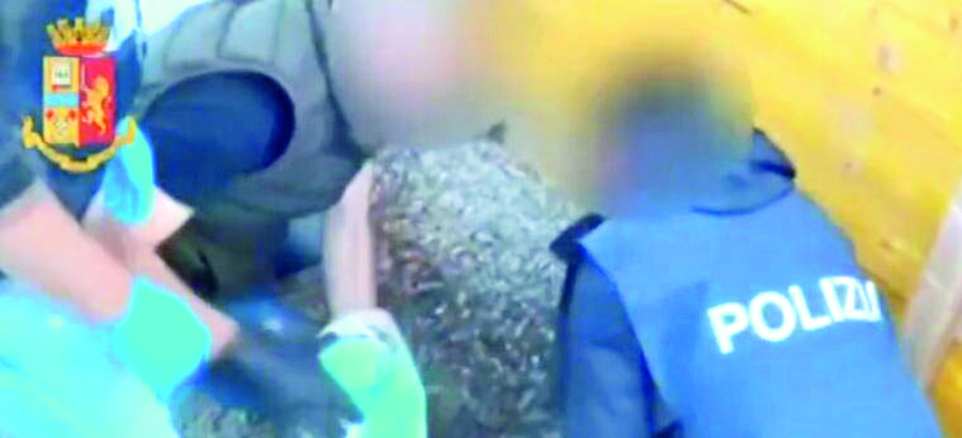 Nella casa di Alghero del boss latitante droga per un milione di euro