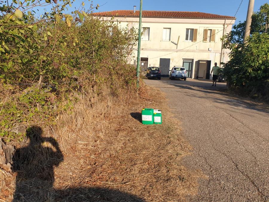 
	Le taniche con i medicinali per le piante

