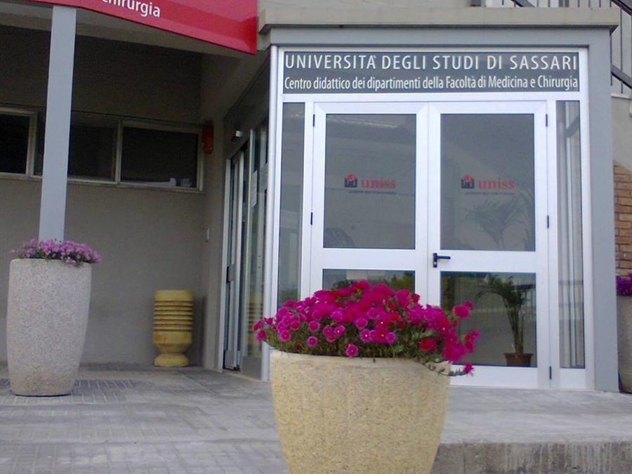 Erasmus, 119 convenzioni Fuori Europa c’è Ulisse