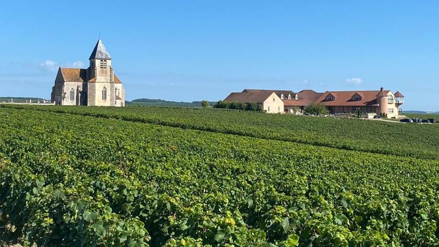 Borgogna: terre di vini e di castelli straordinari