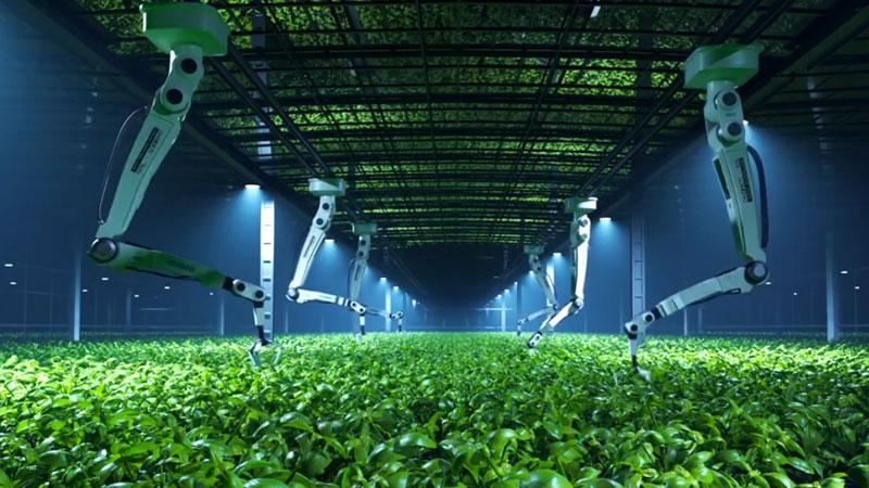 Droni, Gps, robot e open data. L’agricoltore diventa “scienziato”