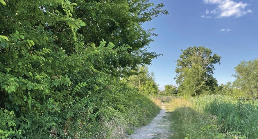 Carpi. Nuove ciclabili per le frazioni: «Città più connessa e sicura»<br type="_moz" />
