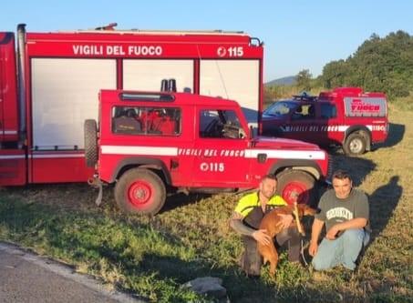 Castelnovo Monti, cane precipita in un pozzo: salvato dai vigili del fuoco