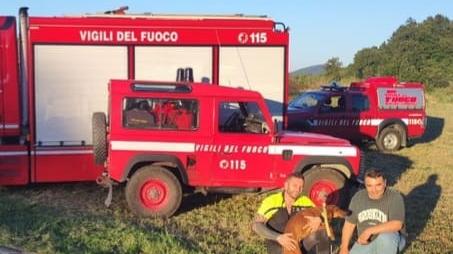 Castelnovo Monti, cane precipita in un pozzo: salvato dai vigili del fuoco